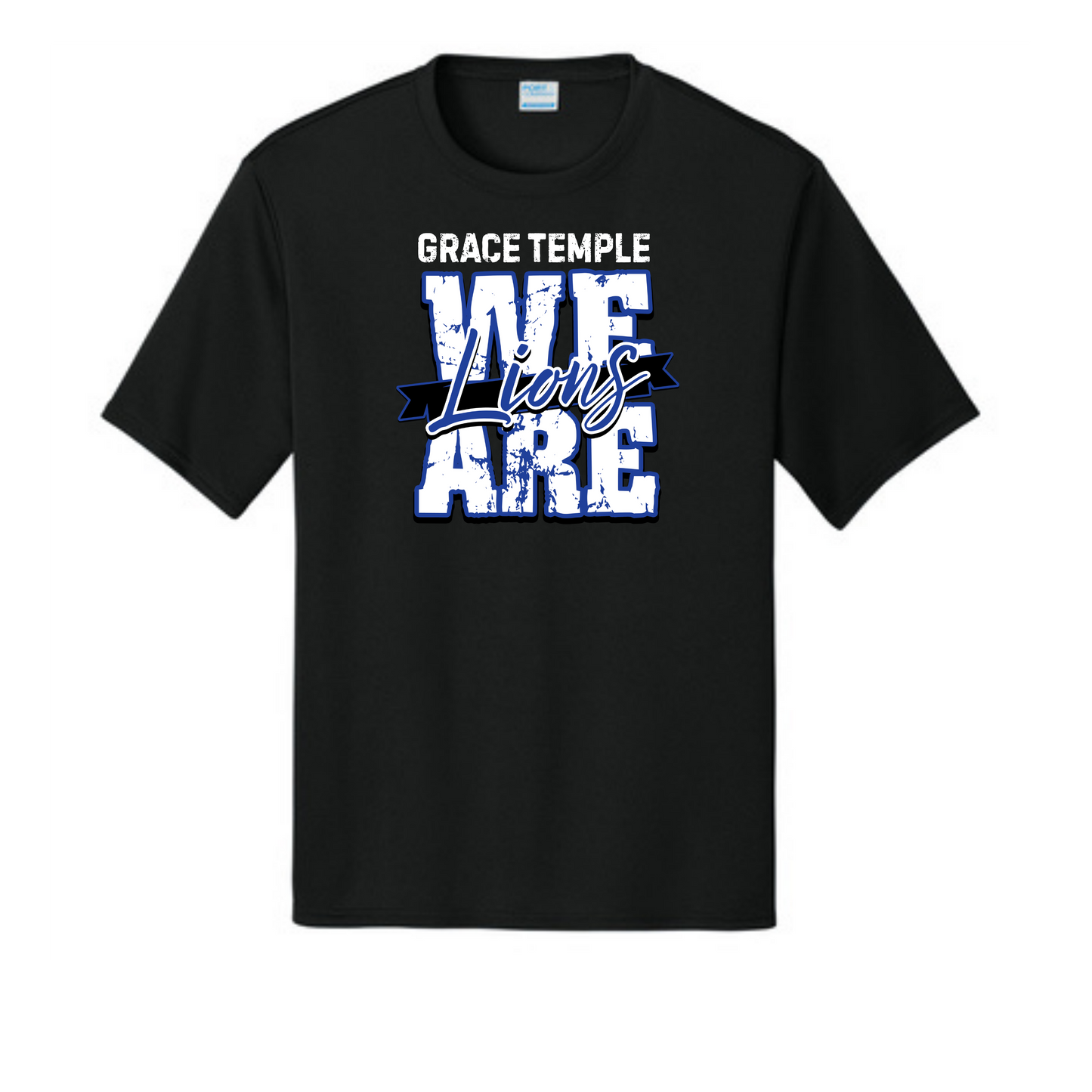 GTCA We Are Lions